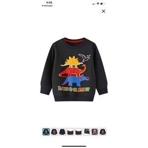 Toddler Boy Sweatshirt Pullover Crewneck Black Dinosaur Graphic Jersey Long Slee
